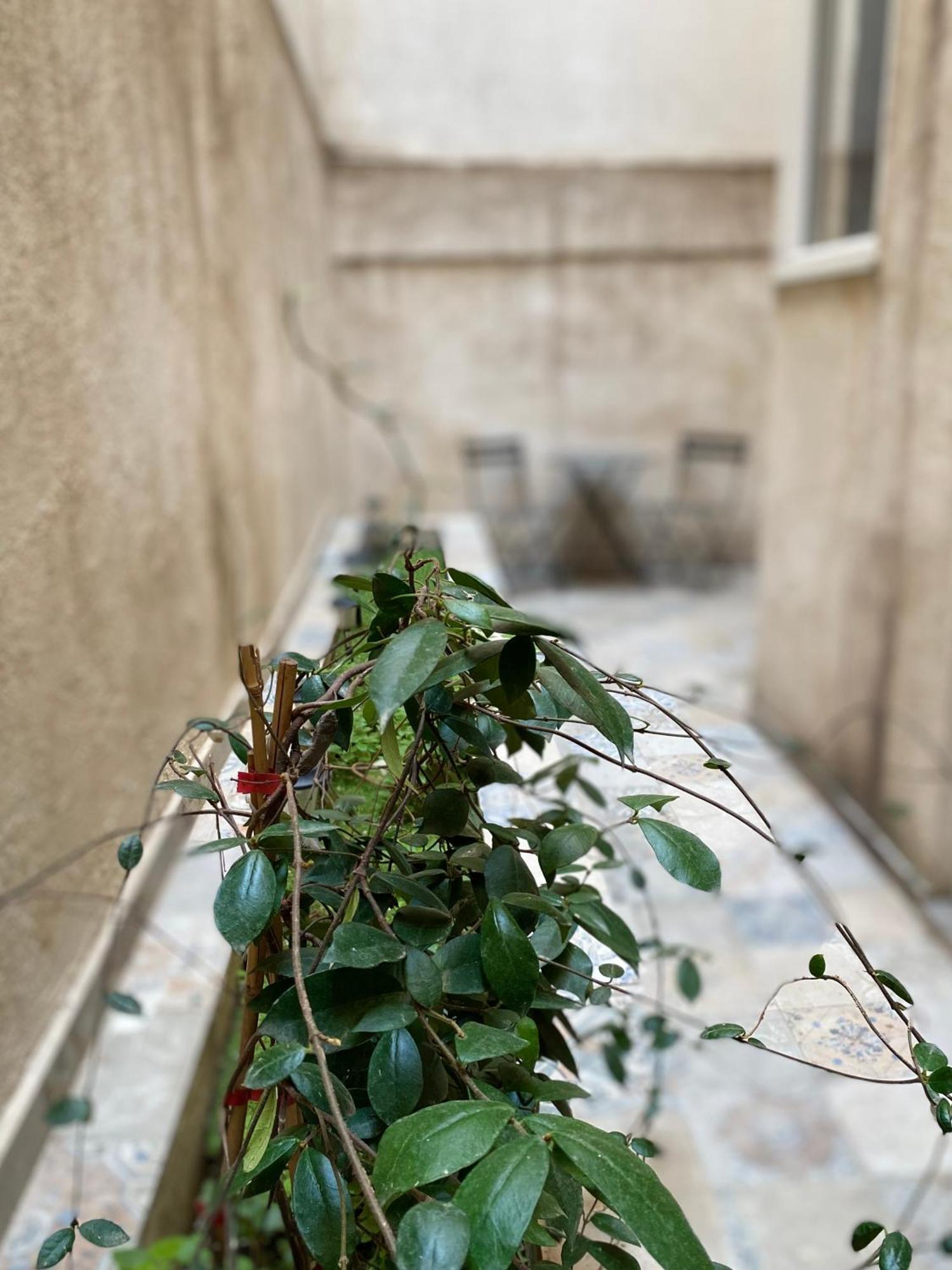 Ferienwohnung A Place 4 U Under Acropolis Athen Exterior foto